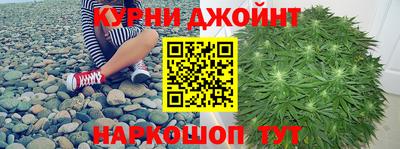 индика Тверь