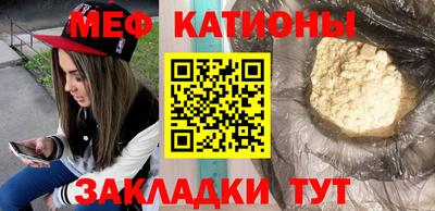 шишки Тара