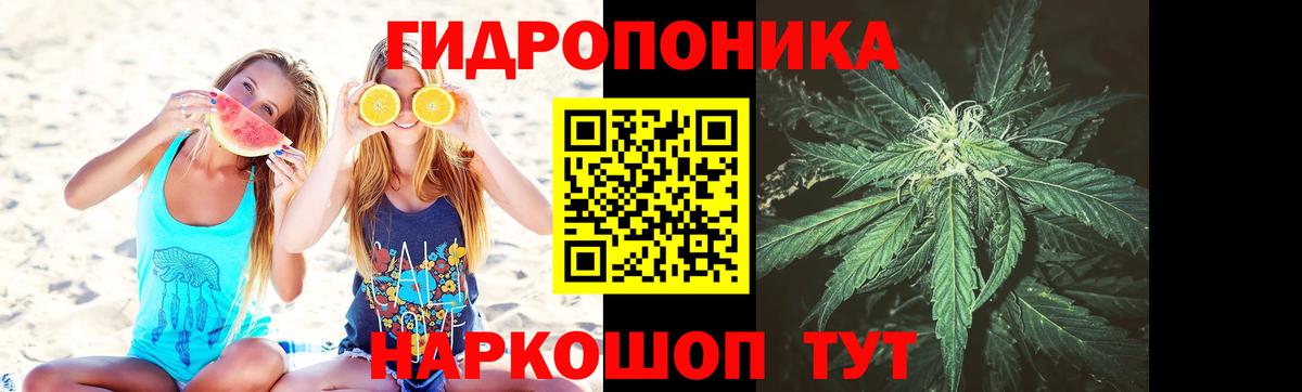 Марихуана Amnesia Саяногорск